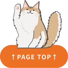 ページトップ